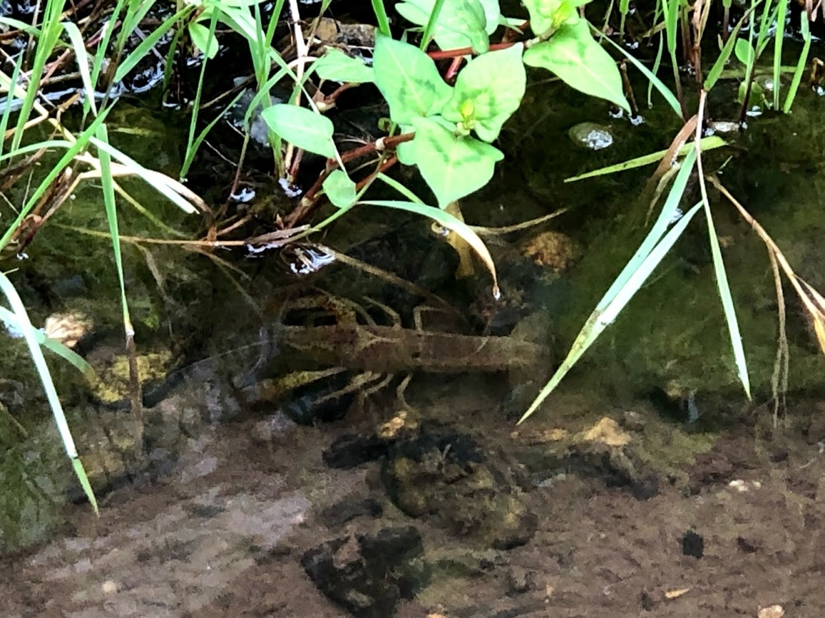 f:id:Tomo41020216:20210922203238j:plain