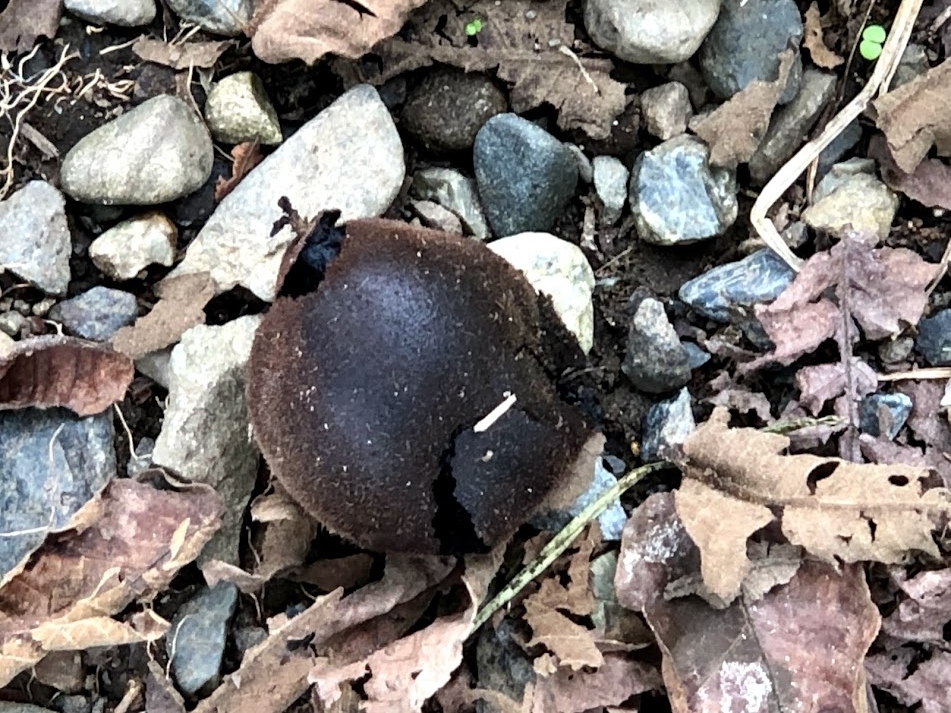 f:id:Tomo41020216:20210922211159j:plain