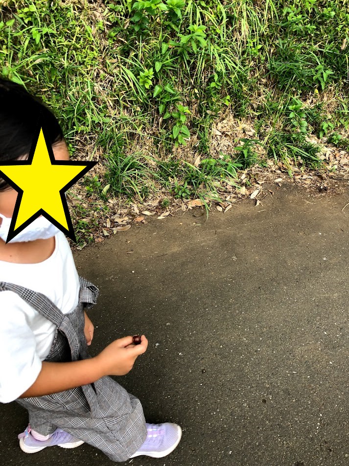f:id:Tomo41020216:20211007213446j:plain