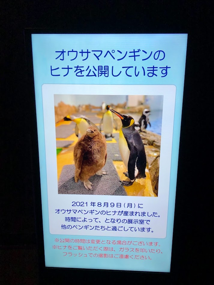 f:id:Tomo41020216:20211221201624j:plain