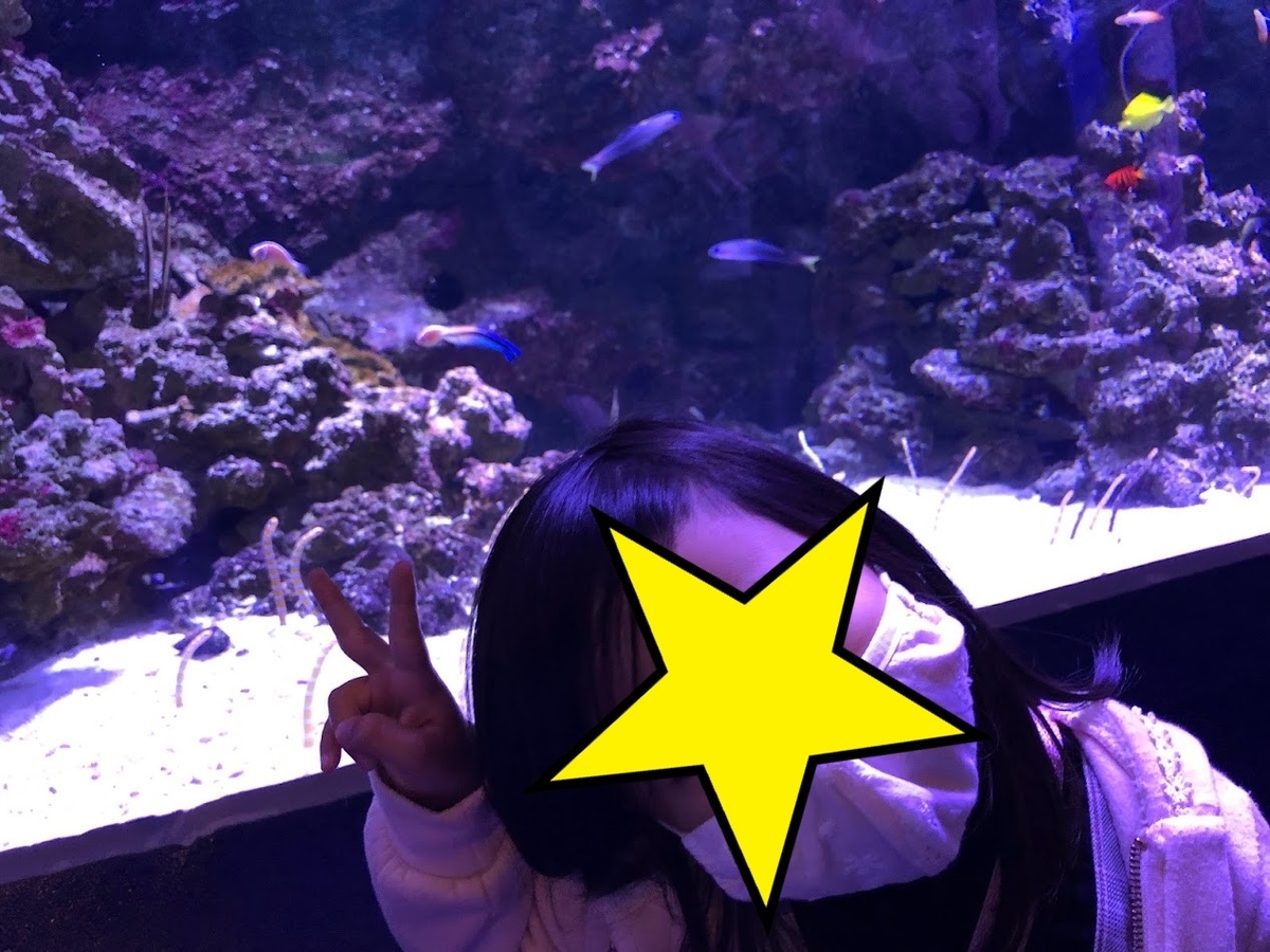 f:id:Tomo41020216:20211221202647j:plain