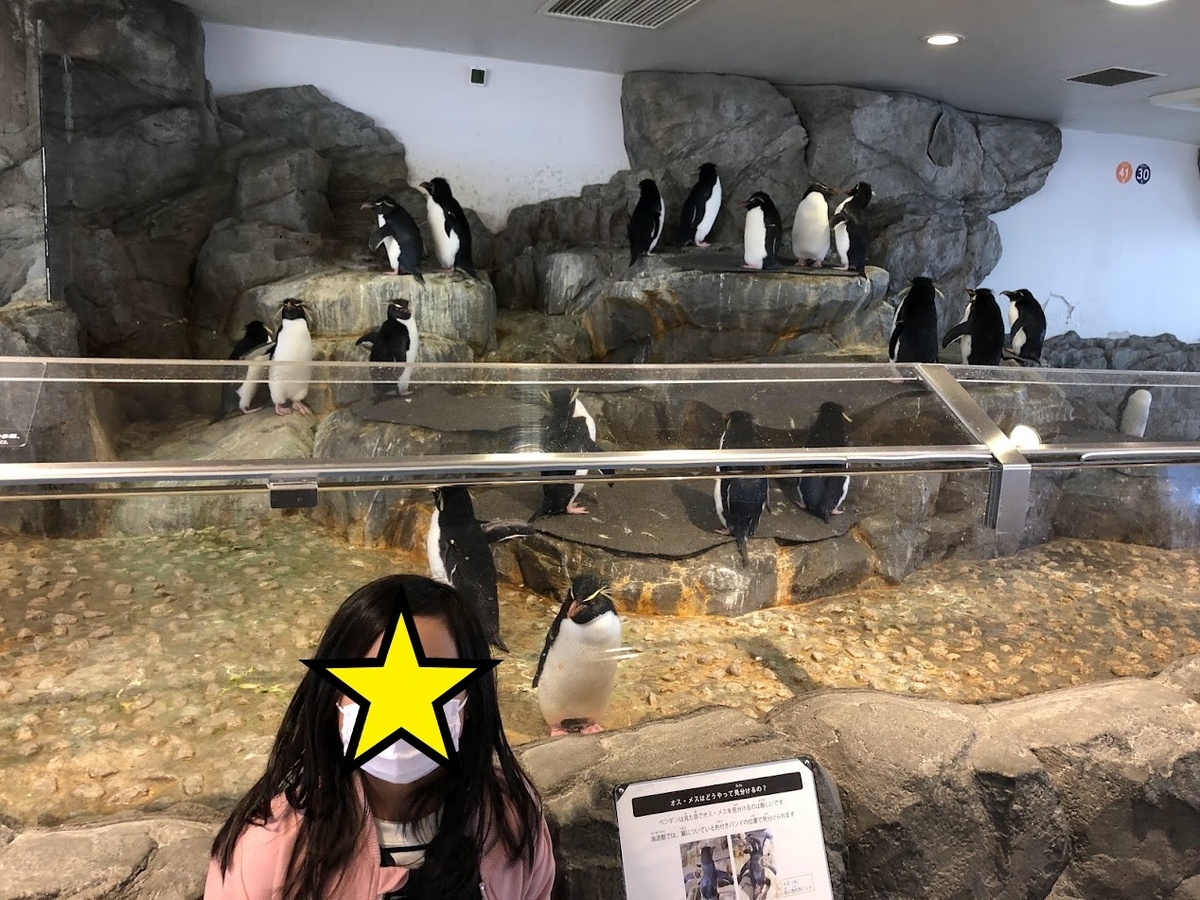 f:id:Tomo41020216:20220213210912j:plain
