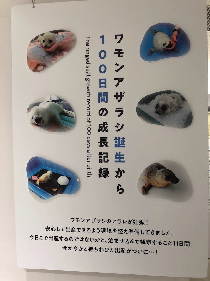 f:id:Tomo41020216:20220214212155j:plain