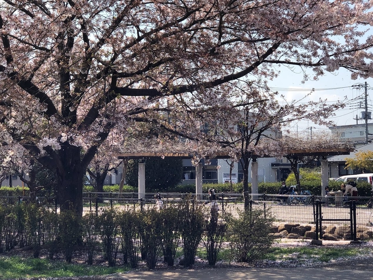 f:id:Tomo41020216:20220408212249j:plain