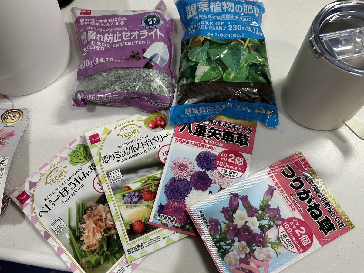 ガーデニング】【家庭菜園】クリスマスローズを植え替えました - サイ