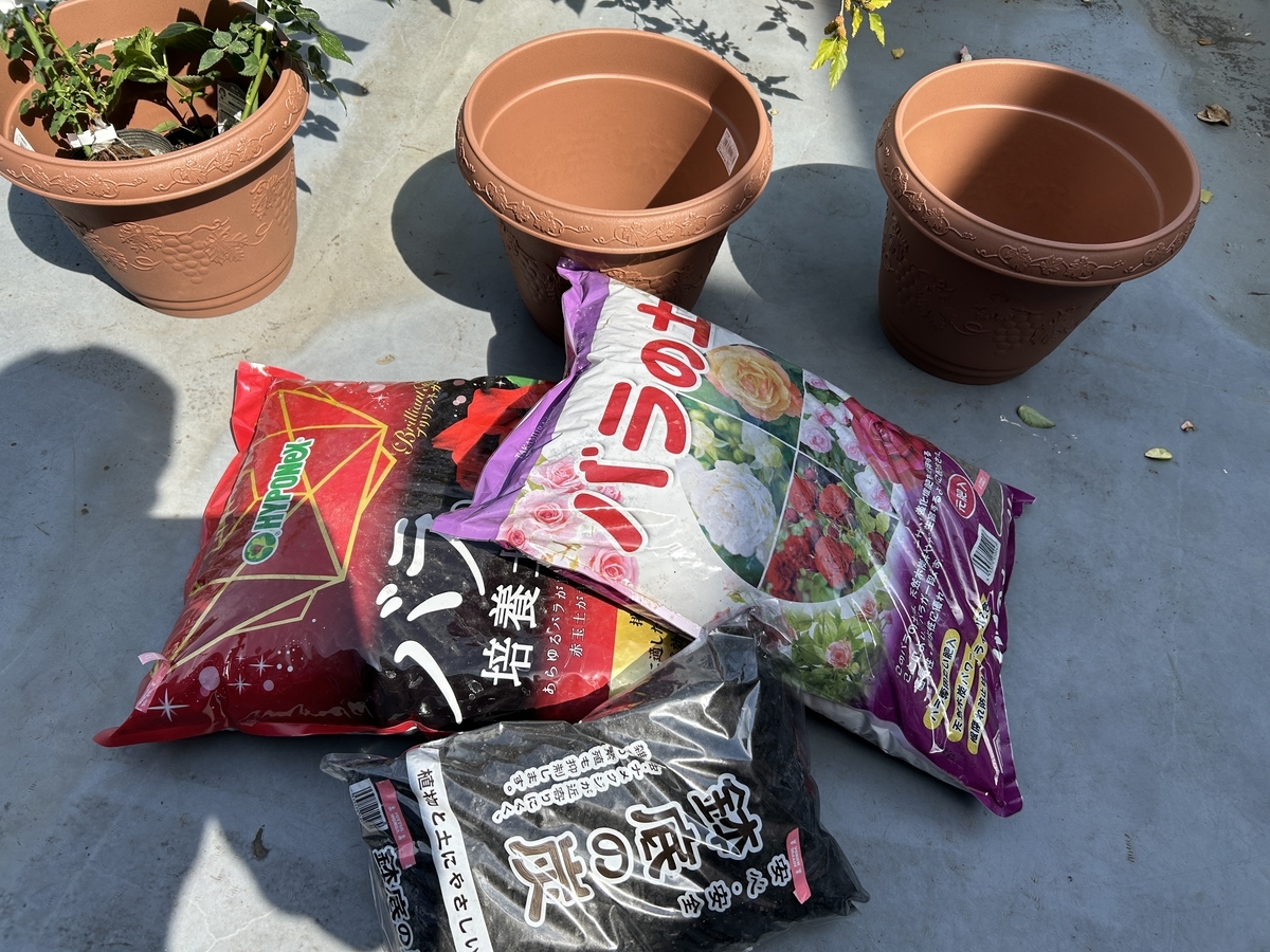 ガーデニング】【家庭菜園】買ってきたバラを鉢に植えました - サイの
