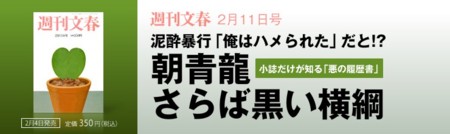 f:id:TomoMachi:20100204061759j:image