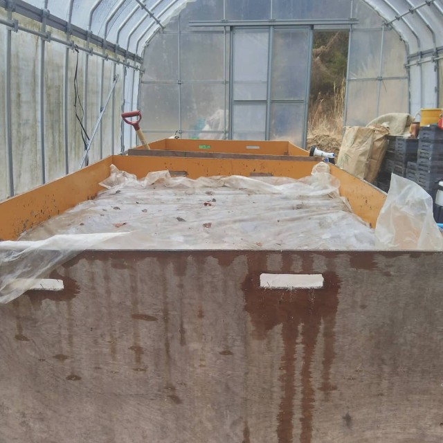 f:id:TomoeKinoshita:20210305203010j:image f:id:TomoeKinoshita:20210305203010j:image