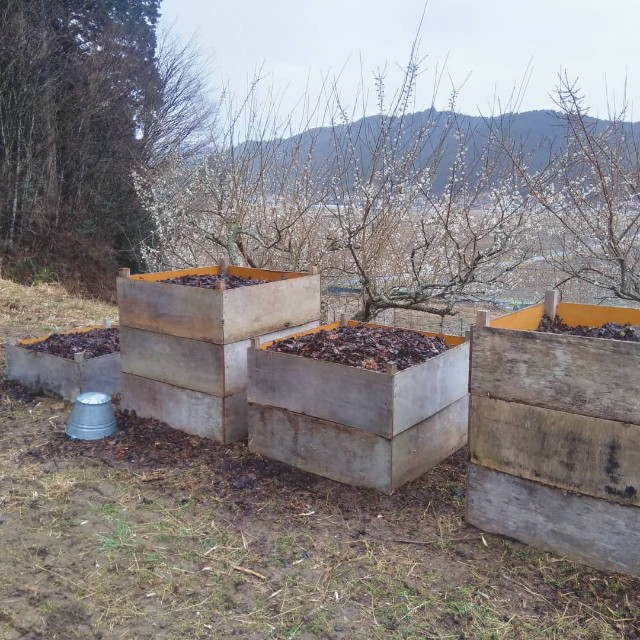 f:id:TomoeKinoshita:20210305214643j:image f:id:TomoeKinoshita:20210305214643j:image