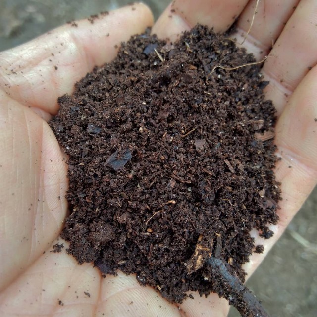 f:id:TomoeKinoshita:20210305214839j:image f:id:TomoeKinoshita:20210305214839j:image