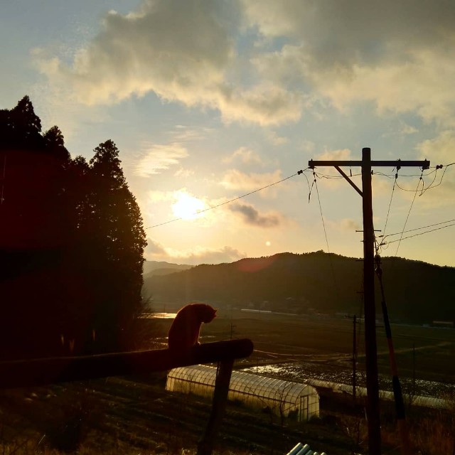 f:id:TomoeKinoshita:20210308190651j:image