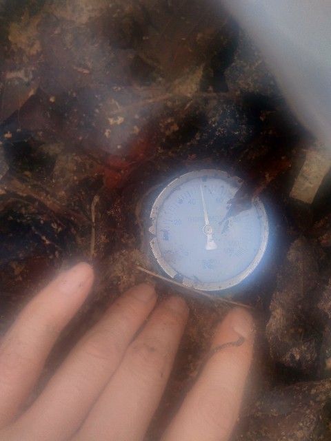 f:id:TomoeKinoshita:20210312210738j:image f:id:TomoeKinoshita:20210312210738j:image