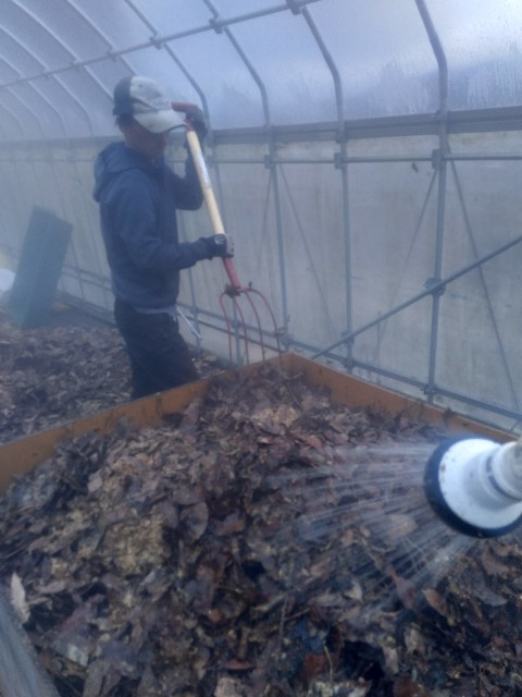 f:id:TomoeKinoshita:20210312211048j:image f:id:TomoeKinoshita:20210312211048j:image