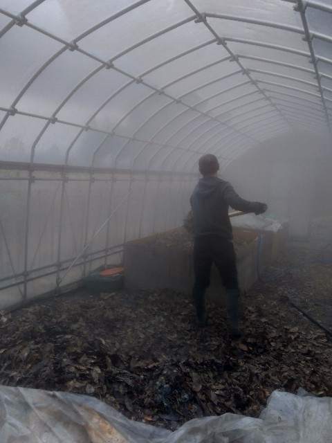 f:id:TomoeKinoshita:20210312211338j:image f:id:TomoeKinoshita:20210312211338j:image