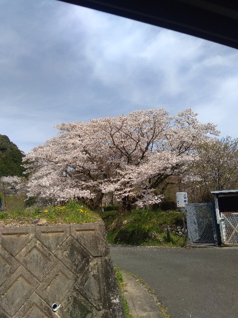 f:id:TomoeKinoshita:20210330193530j:image