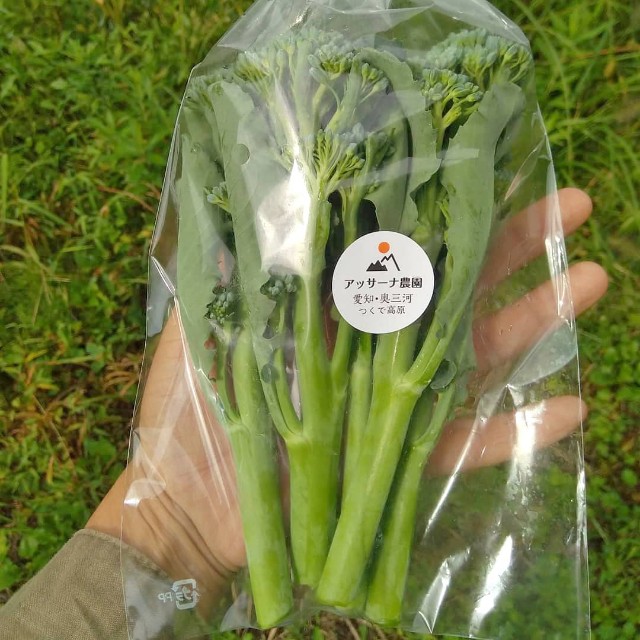 f:id:TomoeKinoshita:20210407150658j:image