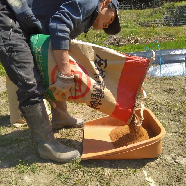 f:id:TomoeKinoshita:20210411222611j:image