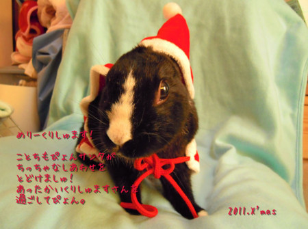 f:id:Tomoko_pyon:20111224092605j:image f:id:Tomoko_pyon:20111224092605j:image