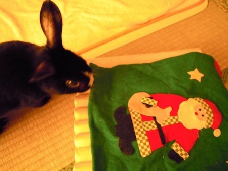 f:id:Tomoko_pyon:20111225085026j:image f:id:Tomoko_pyon:20111225085026j:image