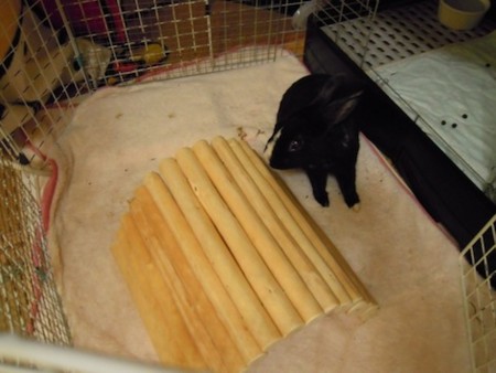 f:id:Tomoko_pyon:20111225091551j:image f:id:Tomoko_pyon:20111225091551j:image