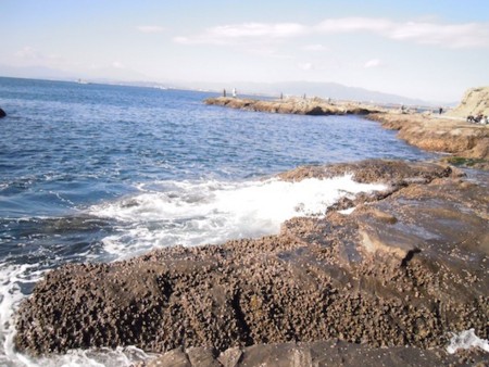 f:id:Tomoko_pyon:20111230115321j:image f:id:Tomoko_pyon:20111230115321j:image