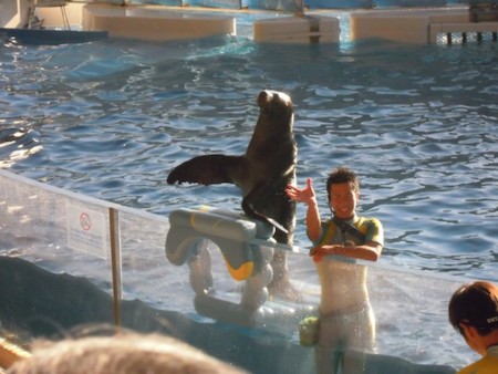 f:id:Tomoko_pyon:20111230145830j:image f:id:Tomoko_pyon:20111230145830j:image