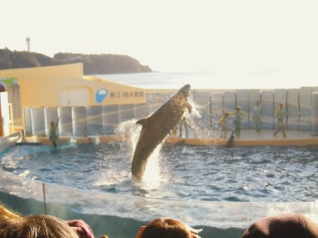 f:id:Tomoko_pyon:20111230151313j:image f:id:Tomoko_pyon:20111230151313j:image