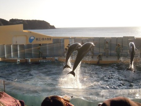 f:id:Tomoko_pyon:20111230151339j:image f:id:Tomoko_pyon:20111230151339j:image