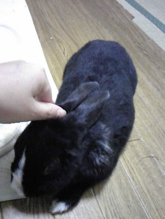 f:id:Tomoko_pyon:20111230211900j:image f:id:Tomoko_pyon:20111230211900j:image