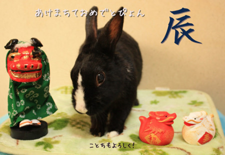 f:id:Tomoko_pyon:20120101100614j:image f:id:Tomoko_pyon:20120101100614j:image