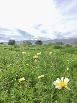 f:id:Tomokotmk:20180317060554j:plain f:id:Tomokotmk:20180317060554j:plain