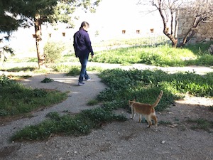 f:id:Tomokotmk:20180321053217j:plain f:id:Tomokotmk:20180321053217j:plain