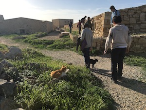 f:id:Tomokotmk:20180321053247j:plain f:id:Tomokotmk:20180321053247j:plain