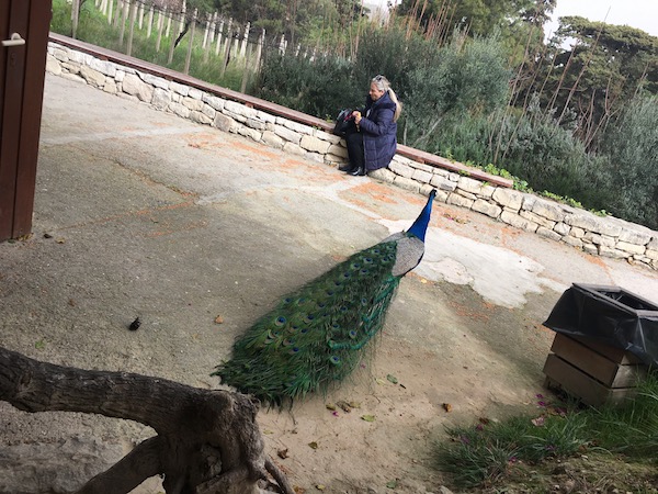 f:id:Tomokotmk:20180322041003j:plain f:id:Tomokotmk:20180322041003j:plain