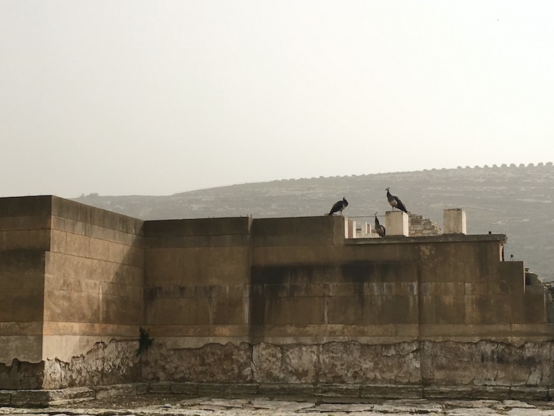 f:id:Tomokotmk:20180322041007j:plain f:id:Tomokotmk:20180322041007j:plain