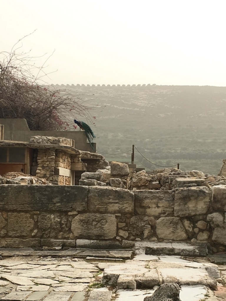 f:id:Tomokotmk:20180322041014j:plain f:id:Tomokotmk:20180322041014j:plain