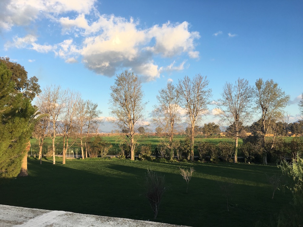 f:id:Tomokotmk:20180402073000j:plain f:id:Tomokotmk:20180402073000j:plain