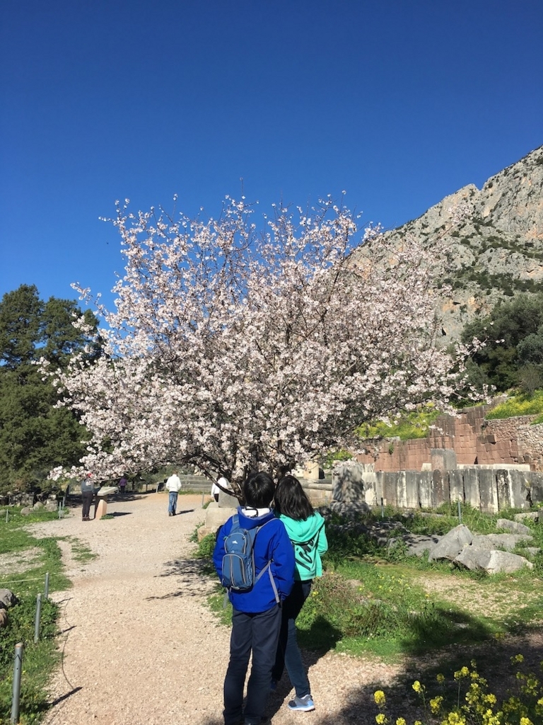f:id:Tomokotmk:20180403012327j:plain f:id:Tomokotmk:20180403012327j:plain