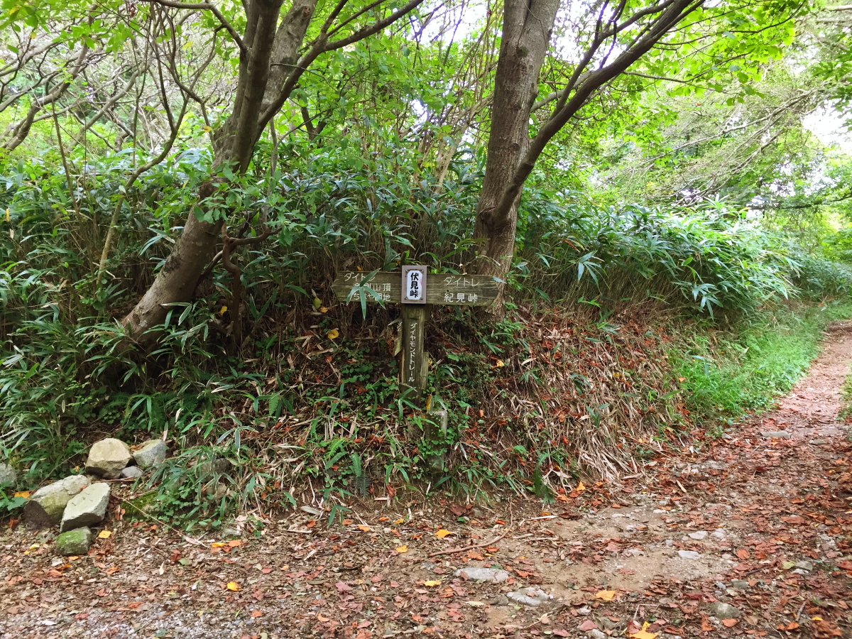 f:id:Tomon1:20191104231335j:plain