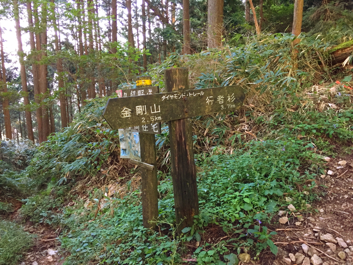 f:id:Tomon1:20191104231454j:plain