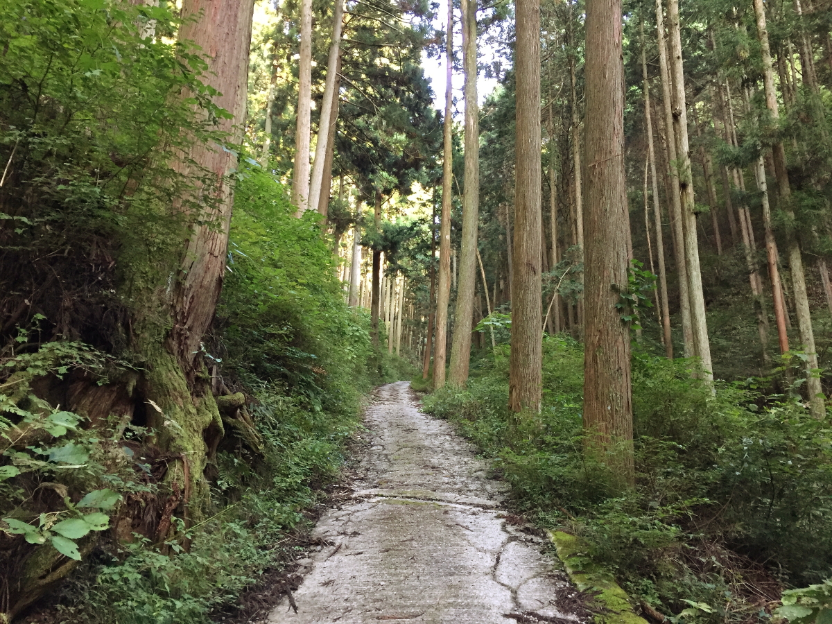 f:id:Tomon1:20191104231505j:plain