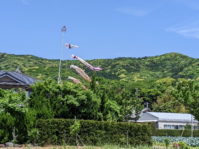 f:id:Tomunaka1:20220504224003j:image f:id:Tomunaka1:20220504224003j:image
