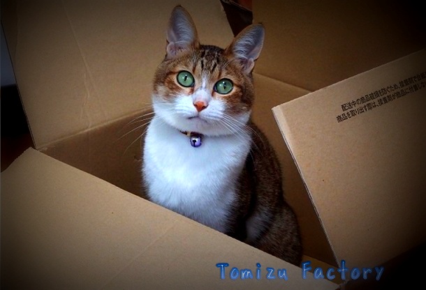 f:id:Tomy103103:20151023005418j:plain