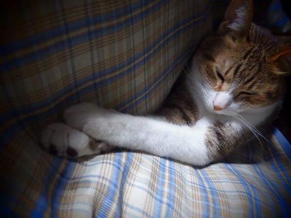 f:id:Tomy103103:20160305214602j:plain