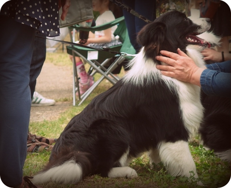 f:id:Tomy103103:20160425005301j:plain