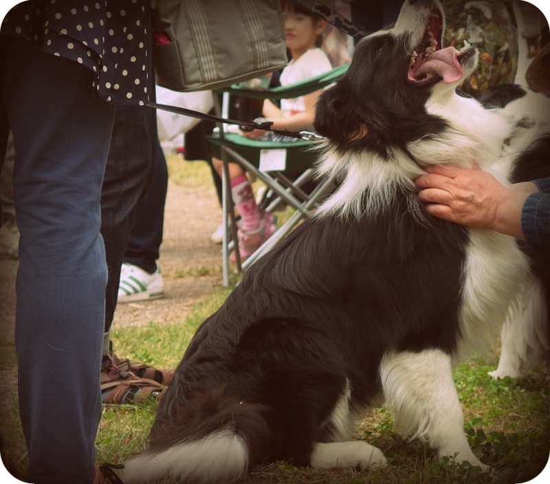 f:id:Tomy103103:20160425005302j:plain