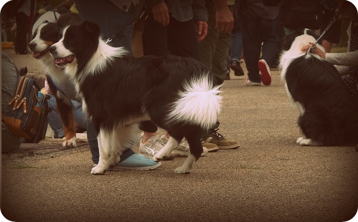 f:id:Tomy103103:20160425005303j:plain