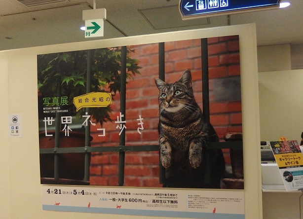 f:id:Tomy103103:20160503004420j:plain f:id:Tomy103103:20160503004420j:plain