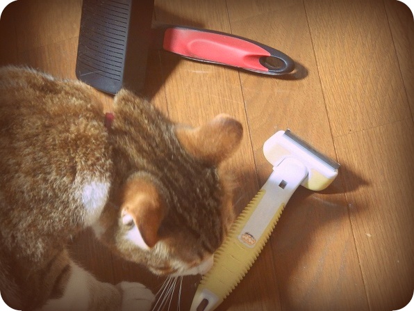 f:id:Tomy103103:20160613231643j:plain f:id:Tomy103103:20160613231643j:plain