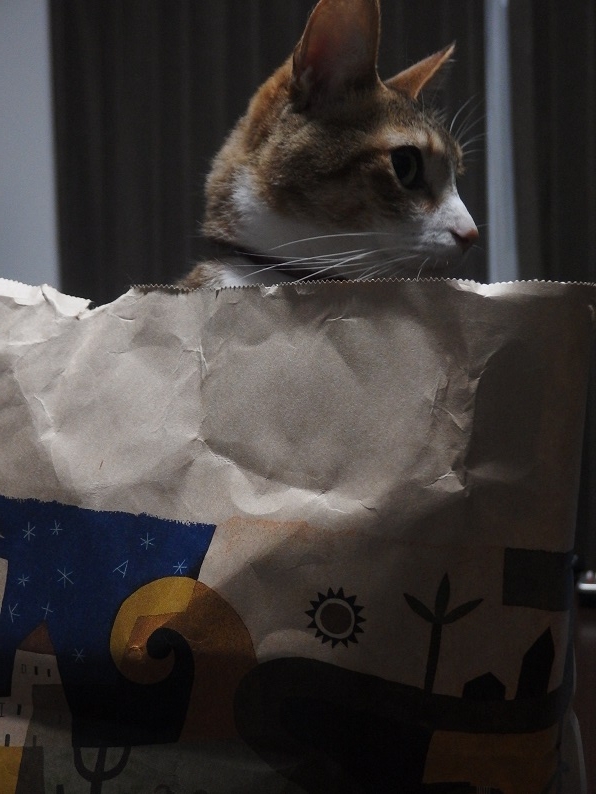 f:id:Tomy103103:20160630012806j:plain f:id:Tomy103103:20160630012806j:plain